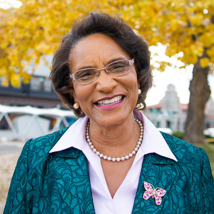A headshot of Pamelya Herndon